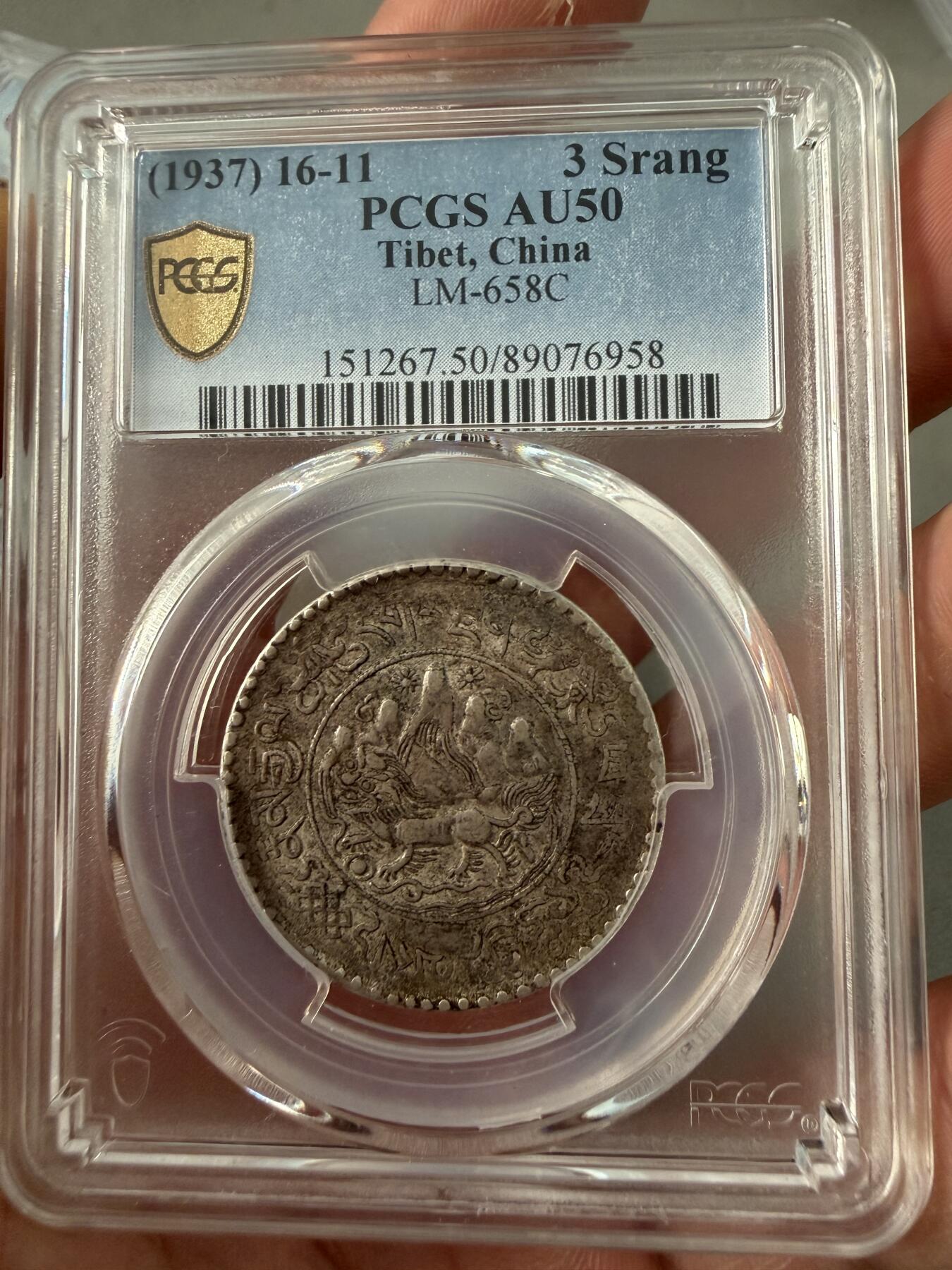 PC50味道大桑松果木