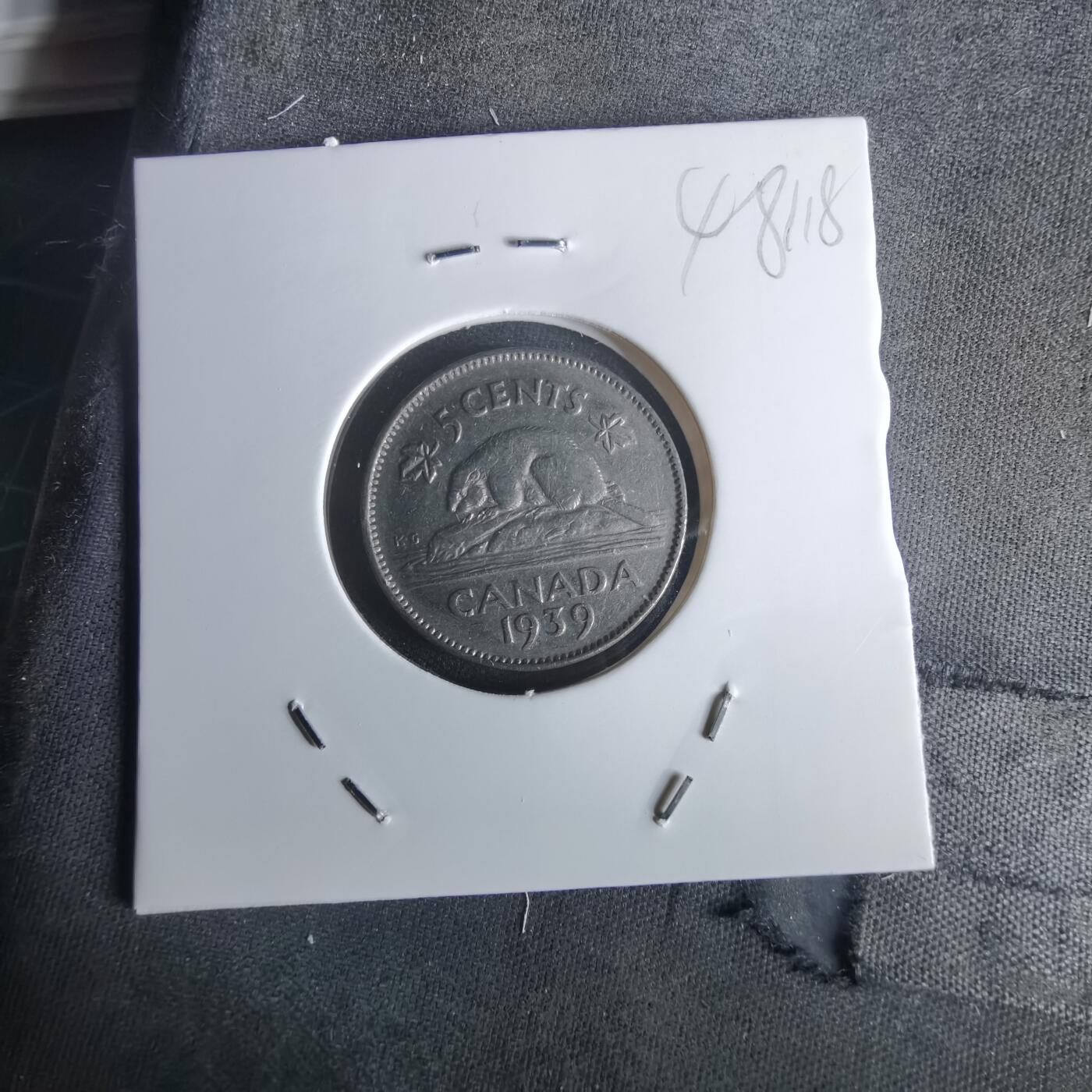 沼泽如烟--第1048场