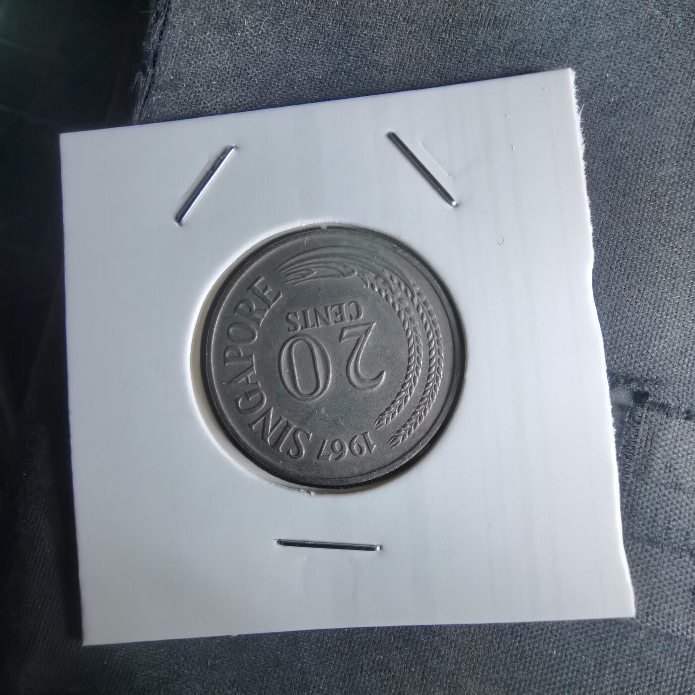 沼泽如烟--第1048场