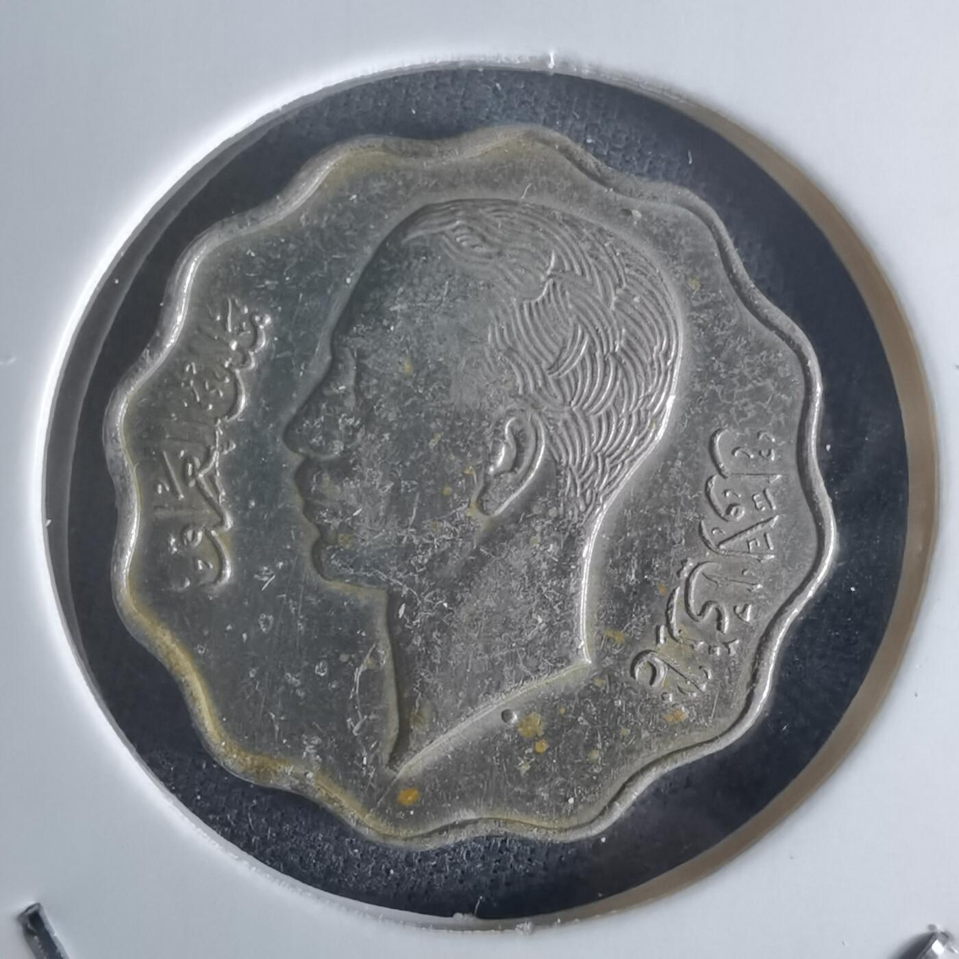 沼泽如烟--第1048场