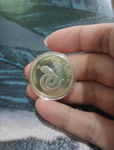 生肖纪念币2025年蛇纪念币 - 生肖纪念币2025年蛇纪念币