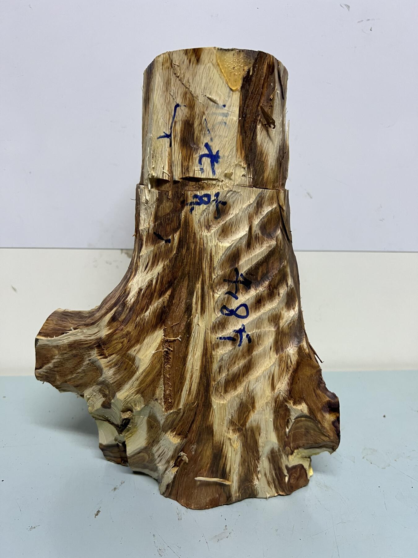 零元拍：  海南黄花梨紫梨大黑线树头，高油高密，重约4.6近。尺寸约90/260/145MM