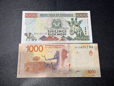 《外钞收藏家》第六百二十六期（精品场）（长期征集拍品、欢迎藏友们联系合作） - 坦桑尼亚1000先令+阿根廷1000 2张一起 全新UNC