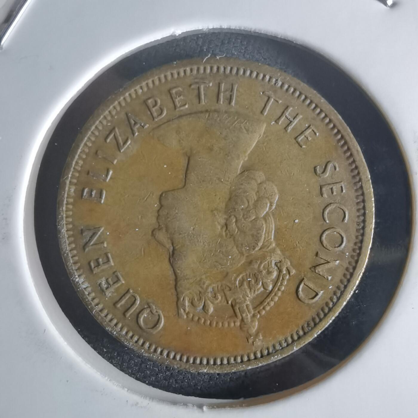 沼泽如烟--第1048场 香港1964年一毫