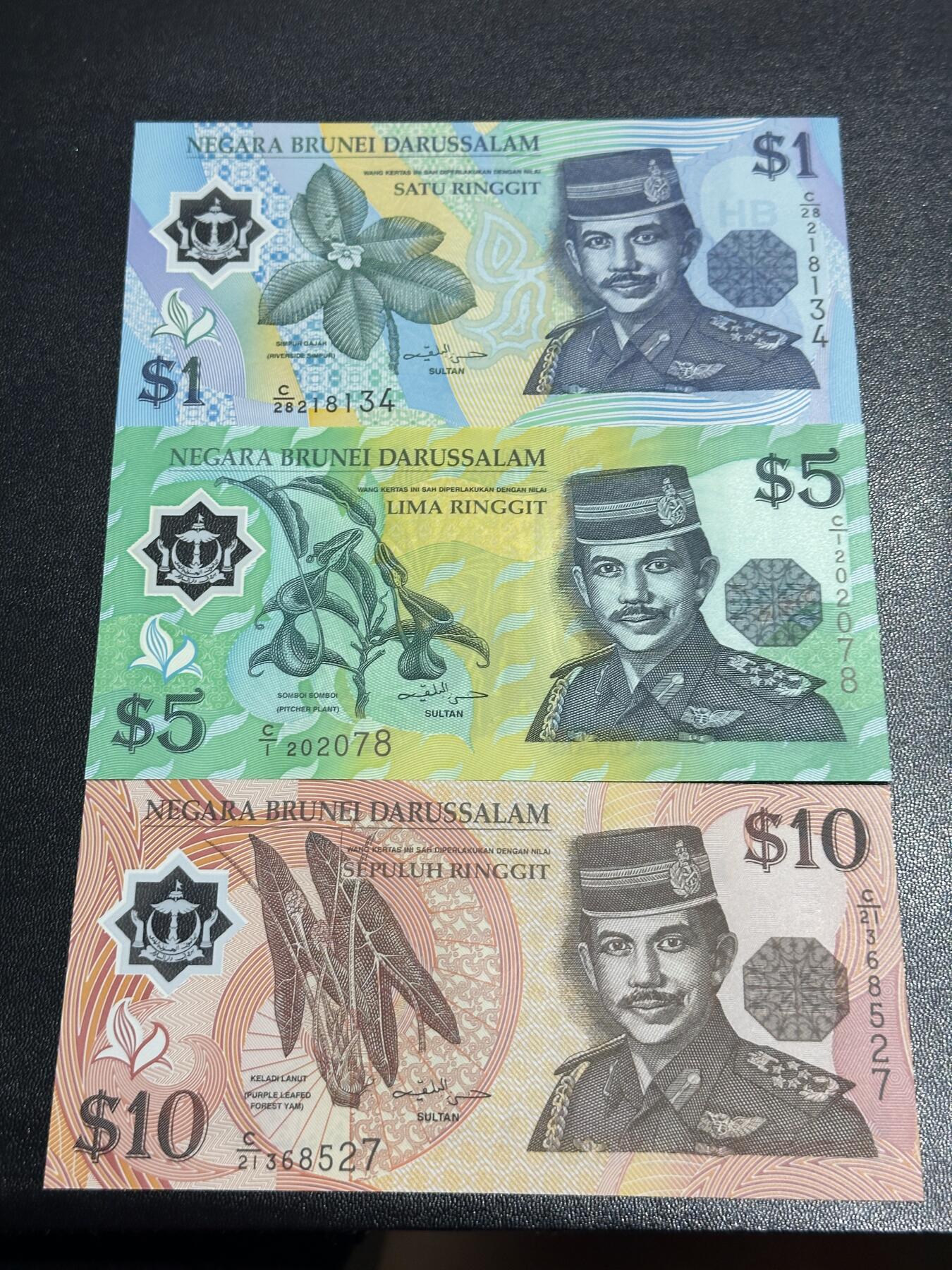 《外钞收藏家》第六百二十六期（精品场）（长期征集拍品、欢迎藏友们联系合作） 文莱倒三版本1/5/10林吉特塑料钞（其中5林吉特C1首发字冠）	UNC