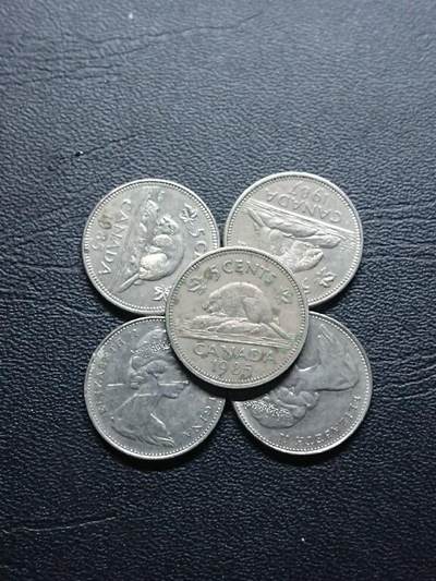 松南世界钱币——260409 - 加拿大河狸5分镍币5枚1