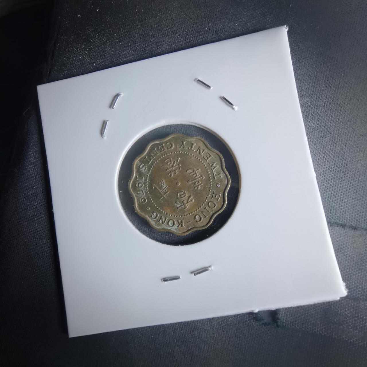 沼泽如烟--第1048场