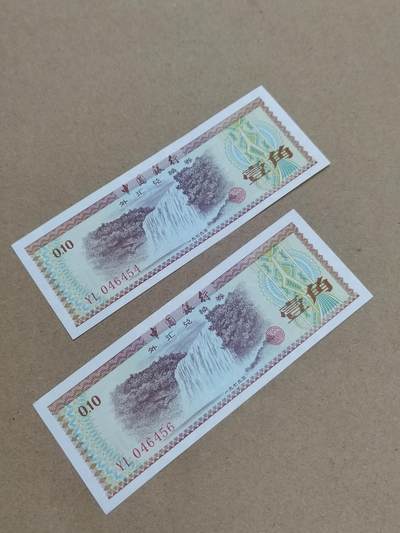 PCAI钱币  10-803 钱币邮票小专场 - 外汇券二张