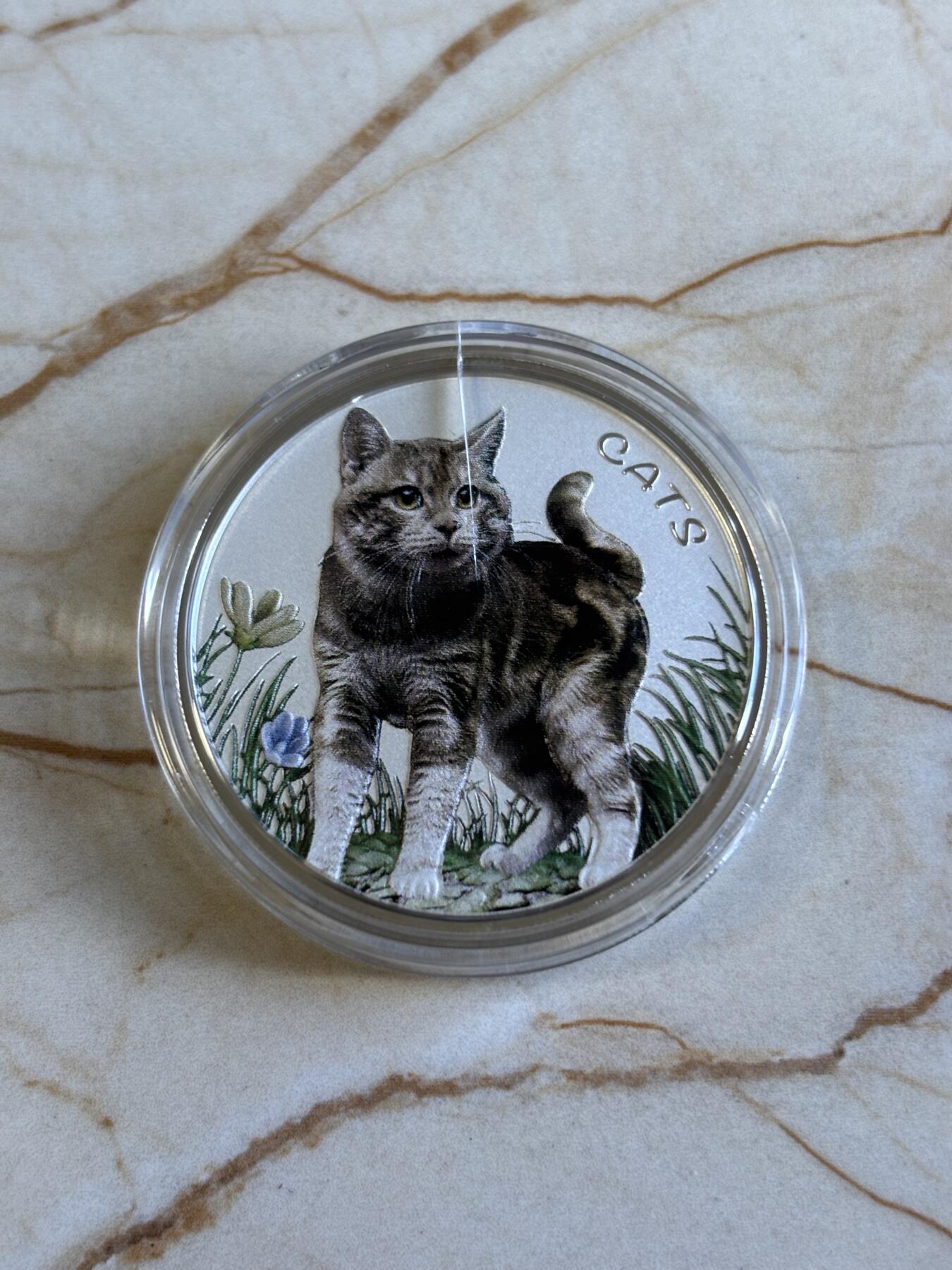 第197期拍卖 斐济2022年人类的好朋友可爱猫咪1盎司彩色纪念银币，999银，发行2000枚，塑料盒有裂痕