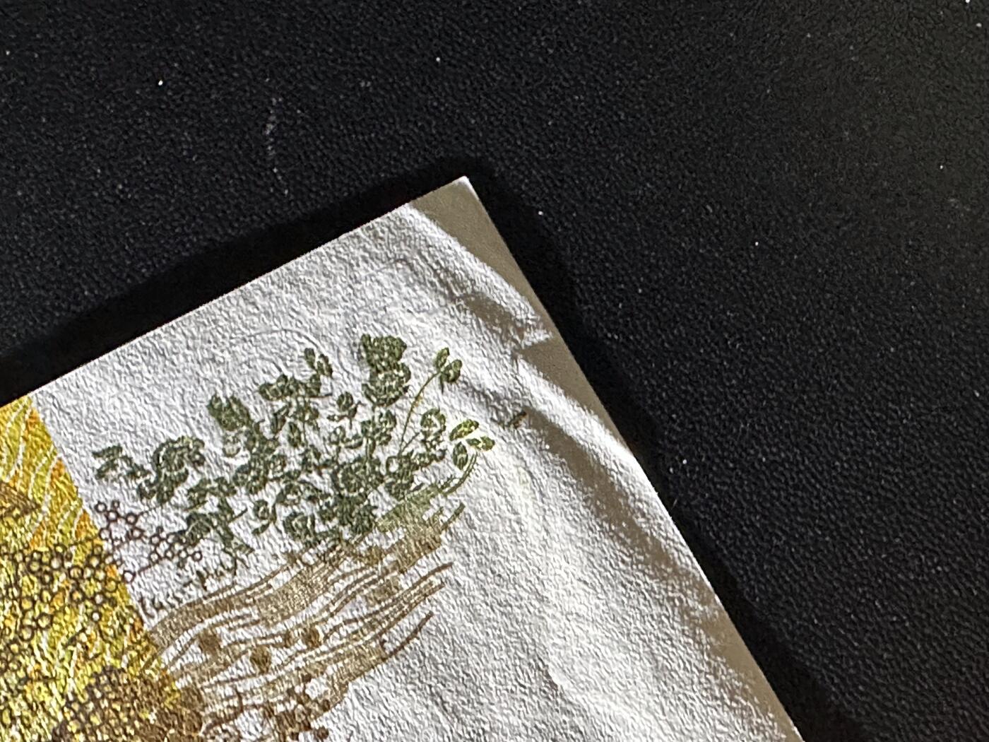 《外钞收藏家》第六百二十六期（精品场）（长期征集拍品、欢迎藏友们联系合作） 澳大利亚纸币版50元 AU品相