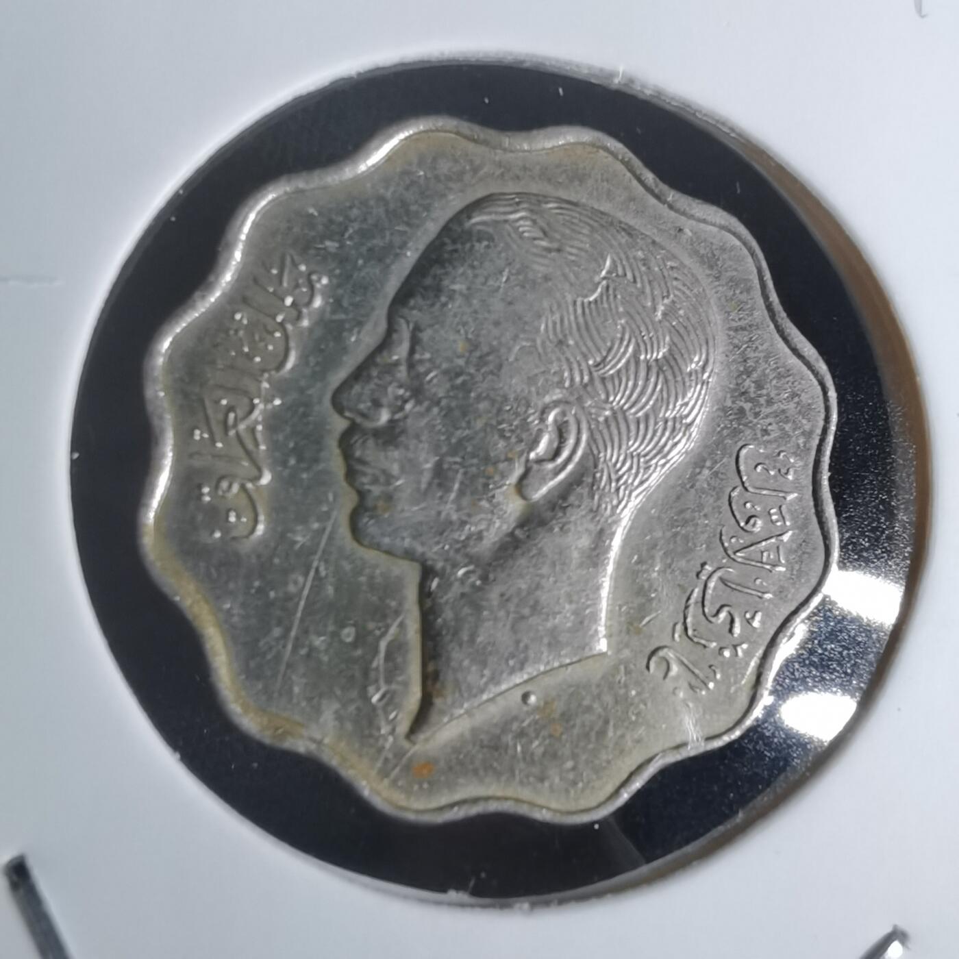 沼泽如烟--第1048场