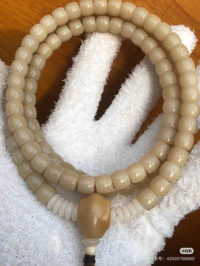 菩提根 - 菩提根