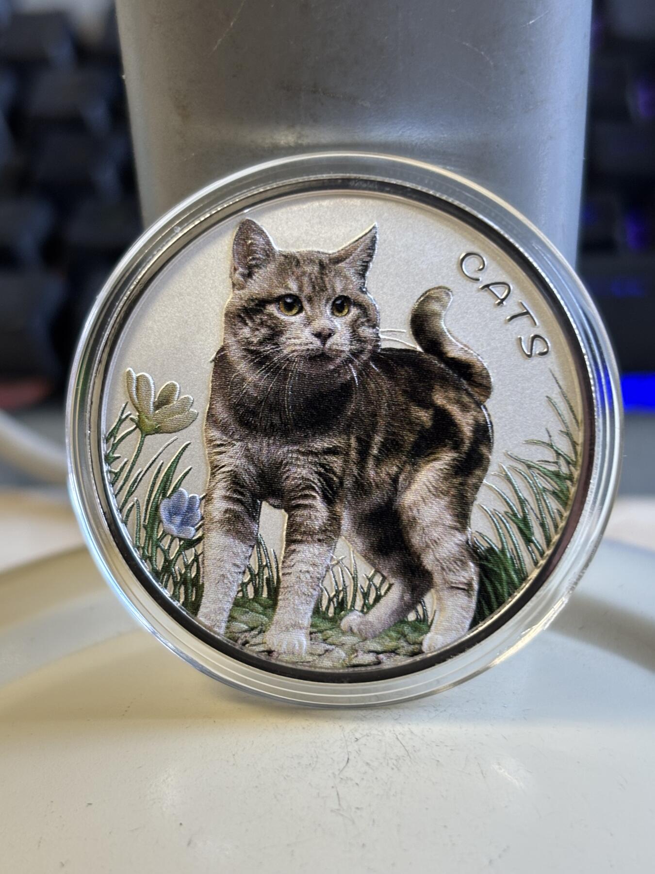 第197期拍卖 斐济2022年人类的好朋友可爱猫咪1盎司彩色纪念银币，999银，发行2000枚，塑料盒有裂痕