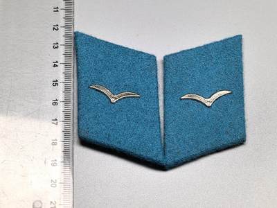 小驴勋章奖章收藏4月11日周六晚六点拍卖（珍爱和平，收藏战争，铭记历史，勿忘国耻，忠党爱国。有偿代拍，送拍规则在简介最后，参拍须阅读规则后再参拍，关系到运费包装发货时效真假辨别等关键信息，拍卖时不再发原图，看大图店主微信码在拍卖店铺介绍里） - 东德空军军士领章