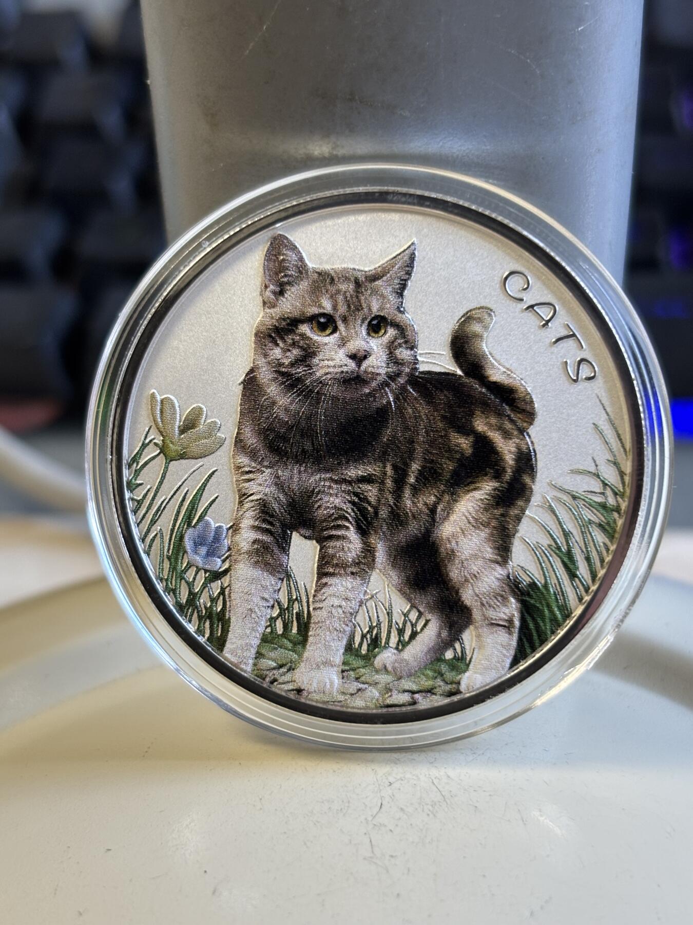 第197期拍卖 斐济2022年人类的好朋友可爱猫咪1盎司彩色纪念银币，999银，发行2000枚，塑料盒有裂痕