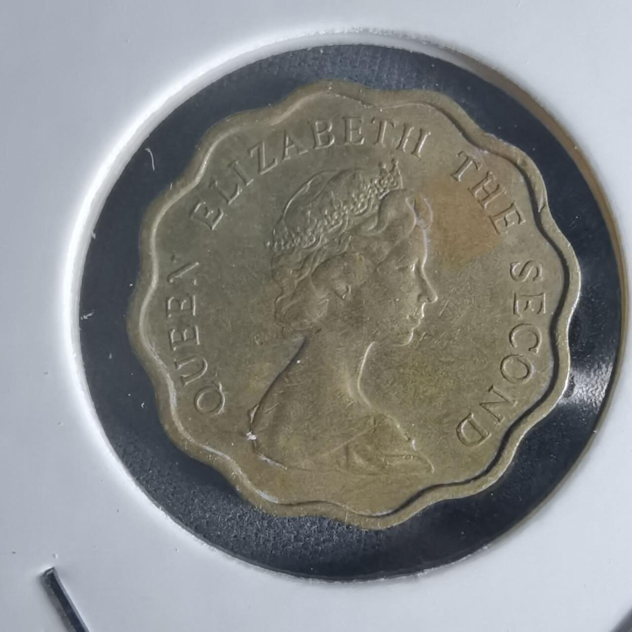 沼泽如烟--第1048场