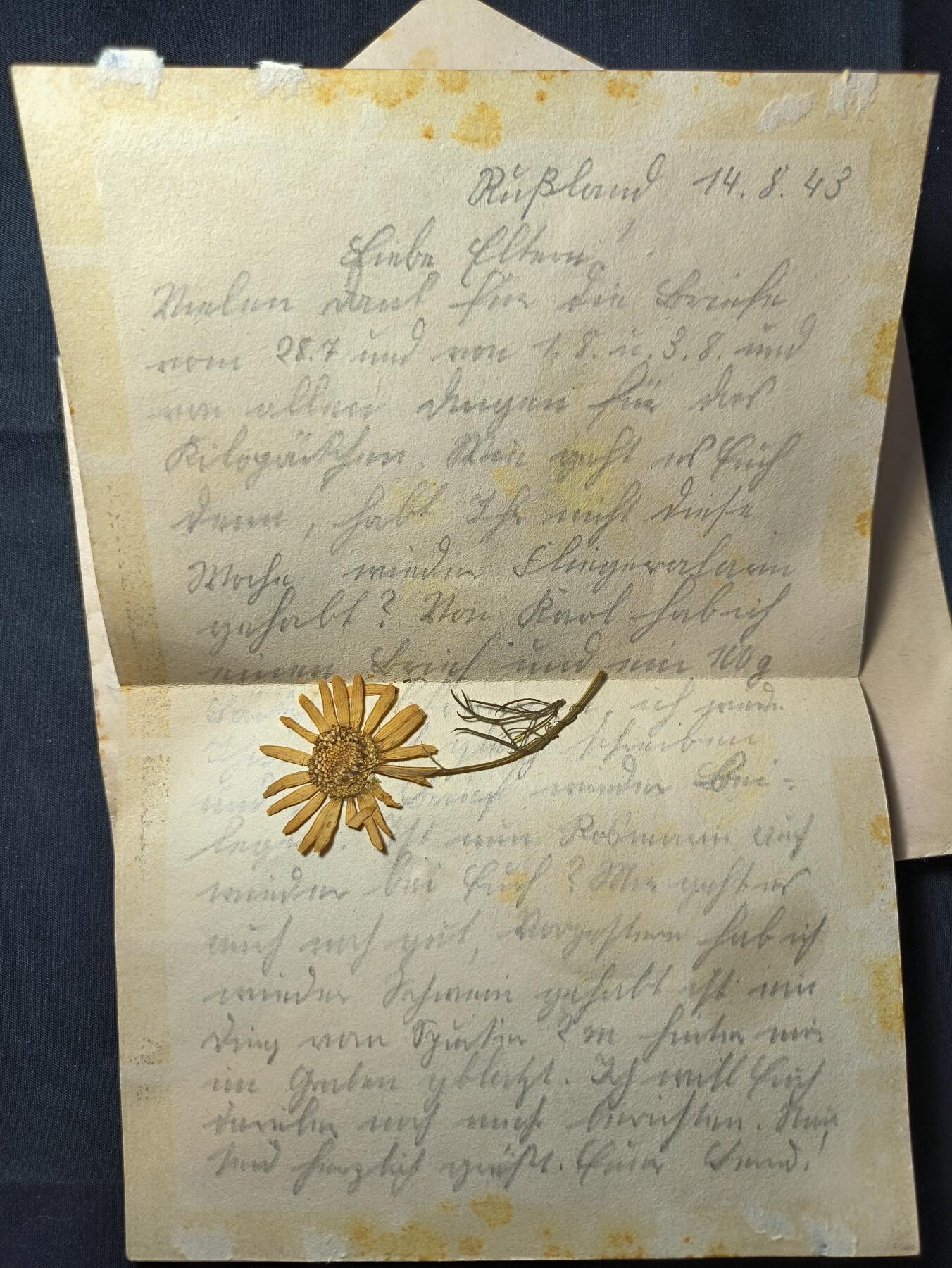 云宸嘉赏-勋臻佳藏四月精品甄选场次（低佣 一元一手） 德意志第三帝国东线战场 国防军战地邮政 附带当时原品小花一朵