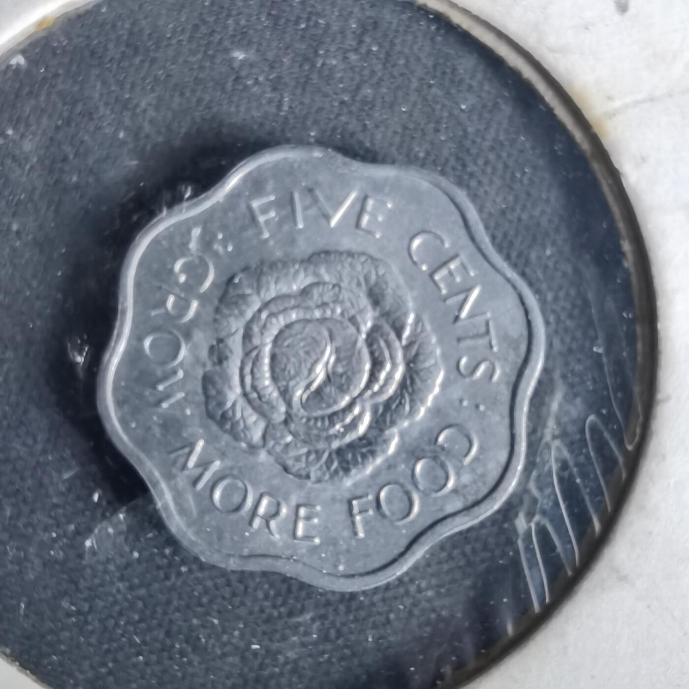 沼泽如烟--第1049场