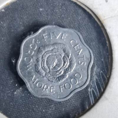 沼泽如烟--第1049场 - 塞舌尔1972年五分FAO