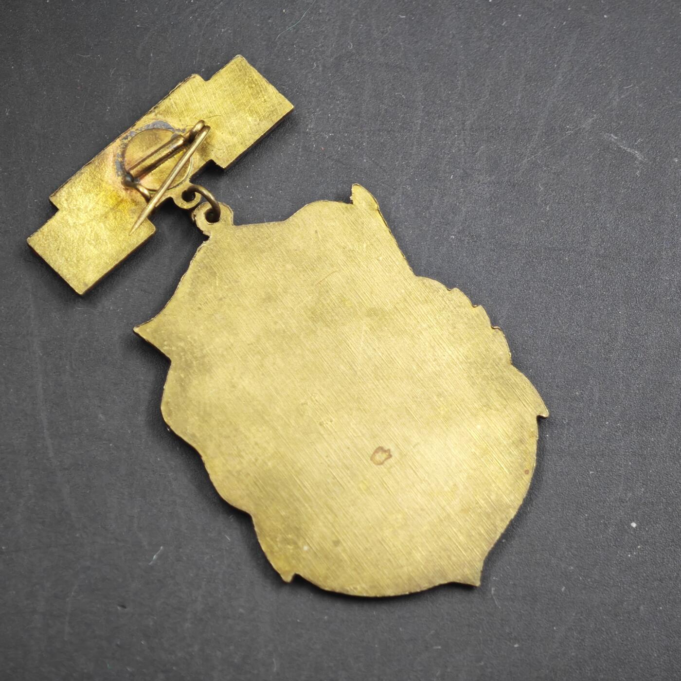 4月11日结束，成斌徽章钱币专场 苏联红旗舰队40周年奖章