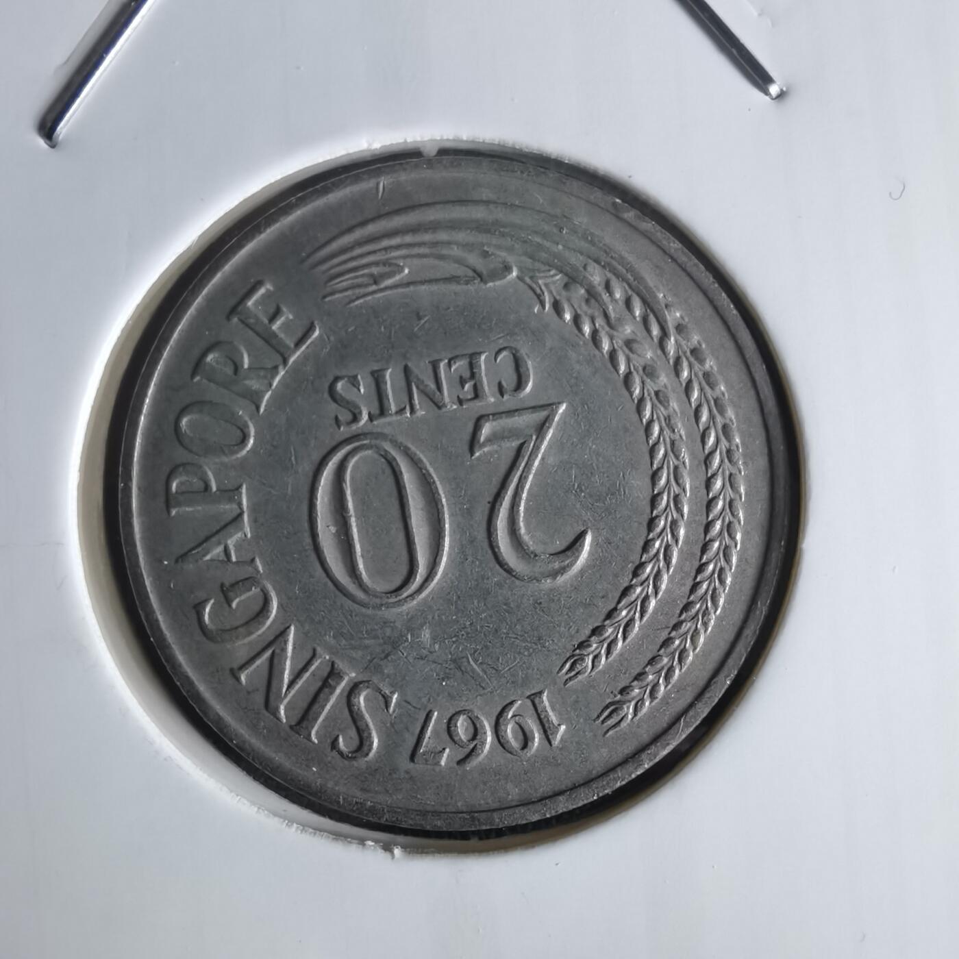 沼泽如烟--第1048场