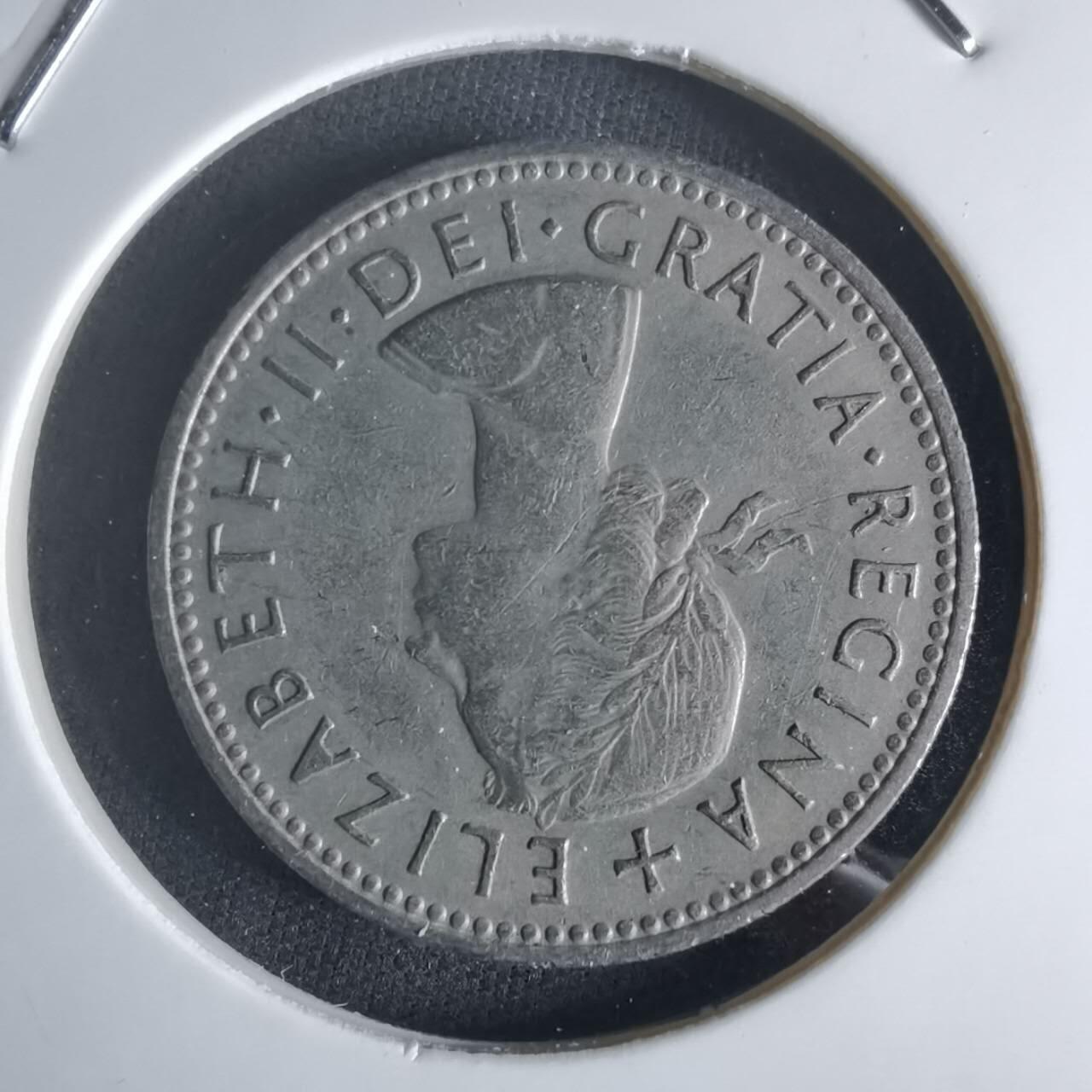 沼泽如烟--第1048场