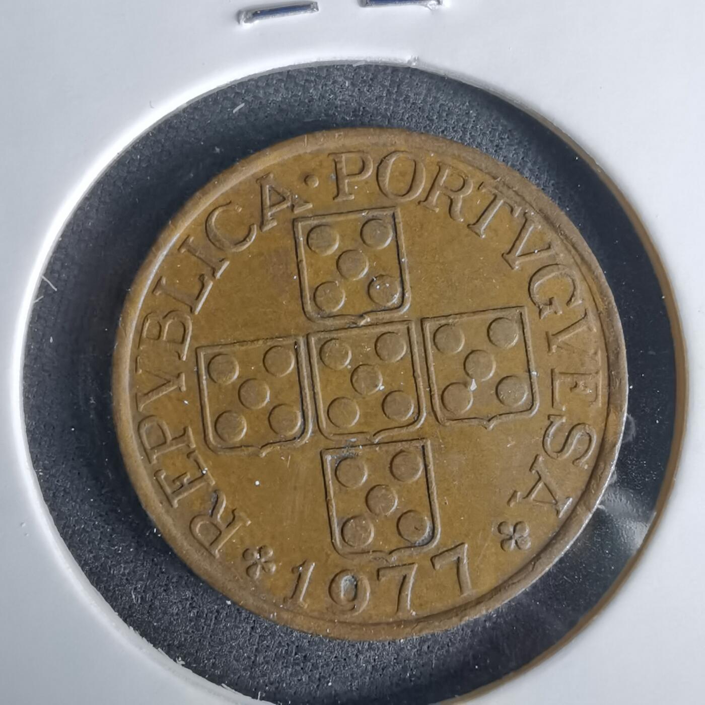 沼泽如烟--第1049场