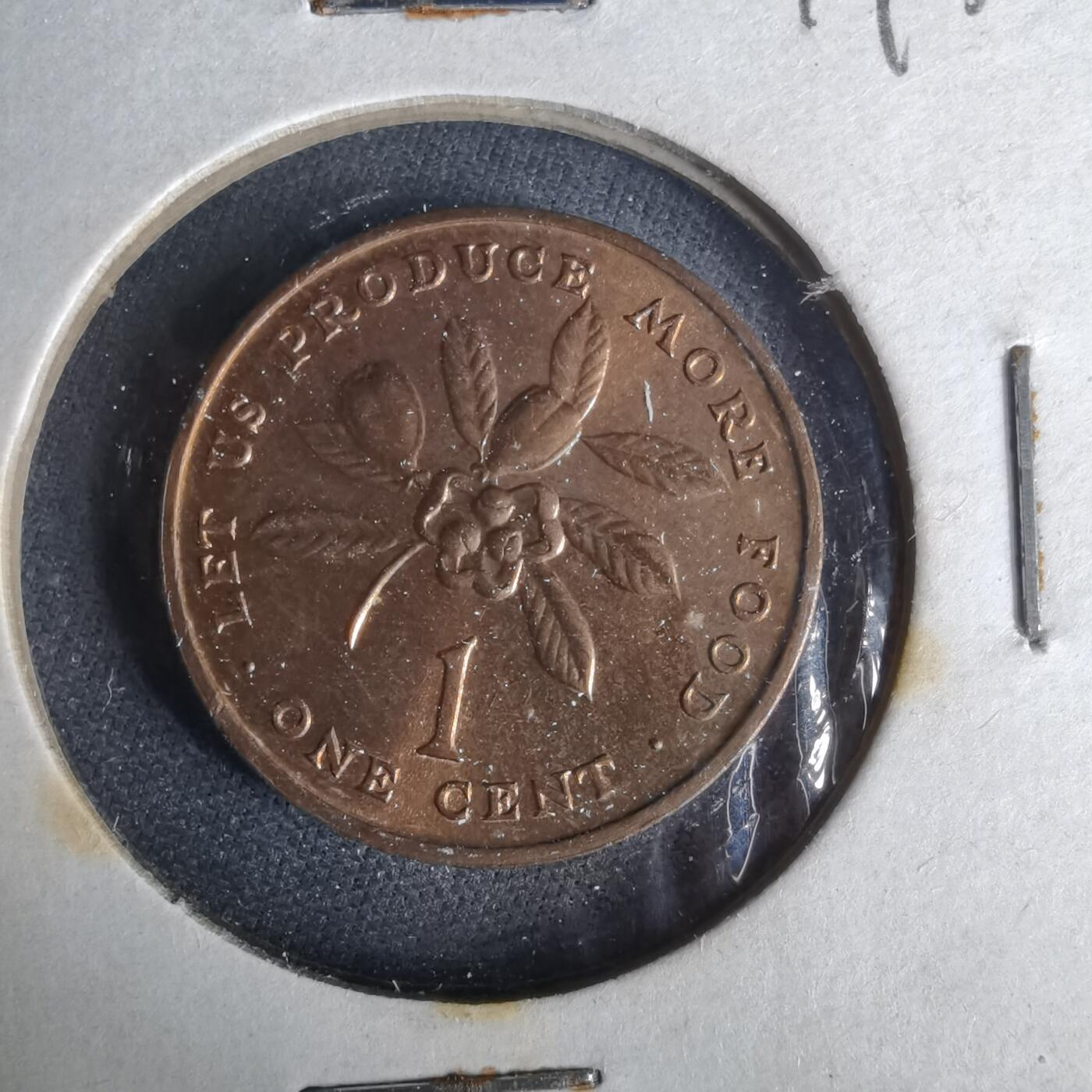 沼泽如烟--第1049场 牙买加1971年一分FAO纪念币