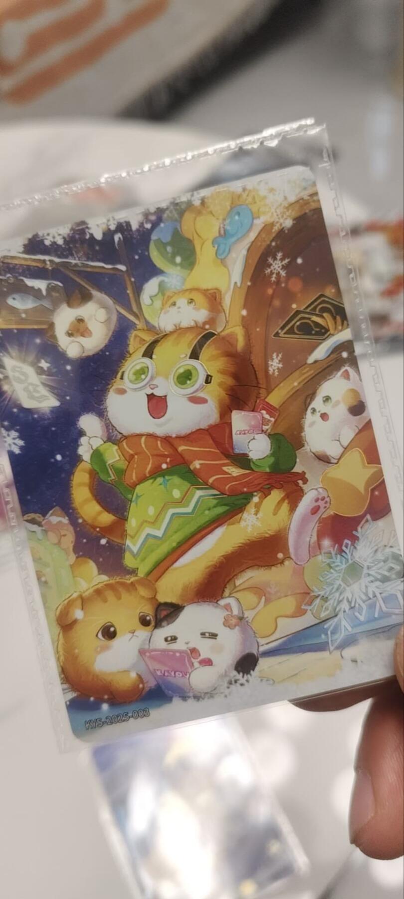 秋原瞳的小店第四十一期——盛夏的时光，即将如约而至