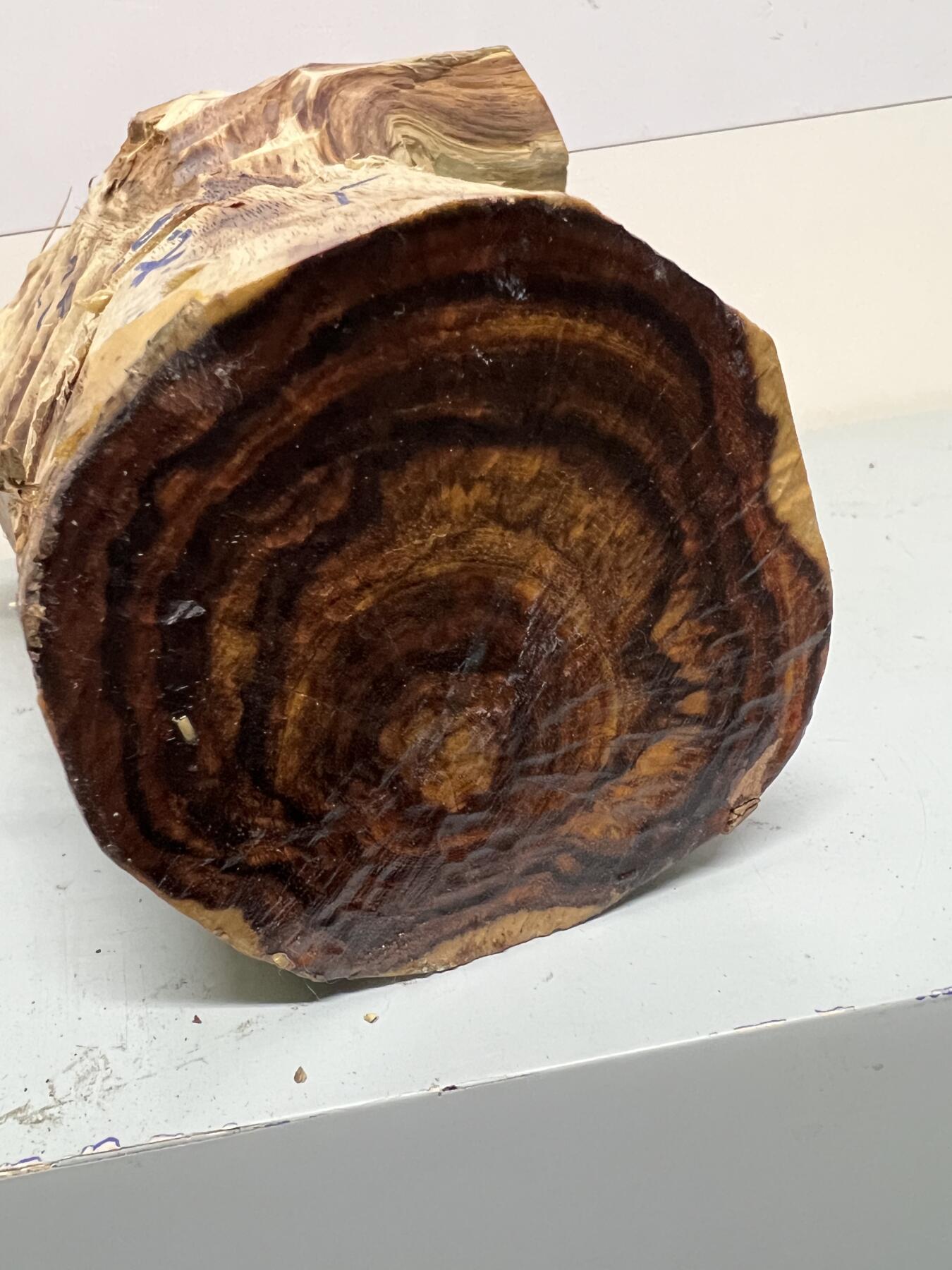 零元拍：  海南黄花梨紫梨大黑线树头，高油高密，重约4.6近。尺寸约90/260/145MM