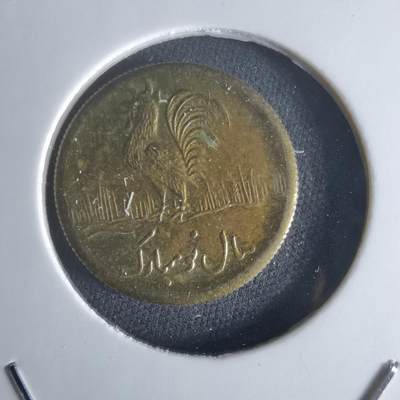 沼泽如烟--第1048场 - 伊朗代币