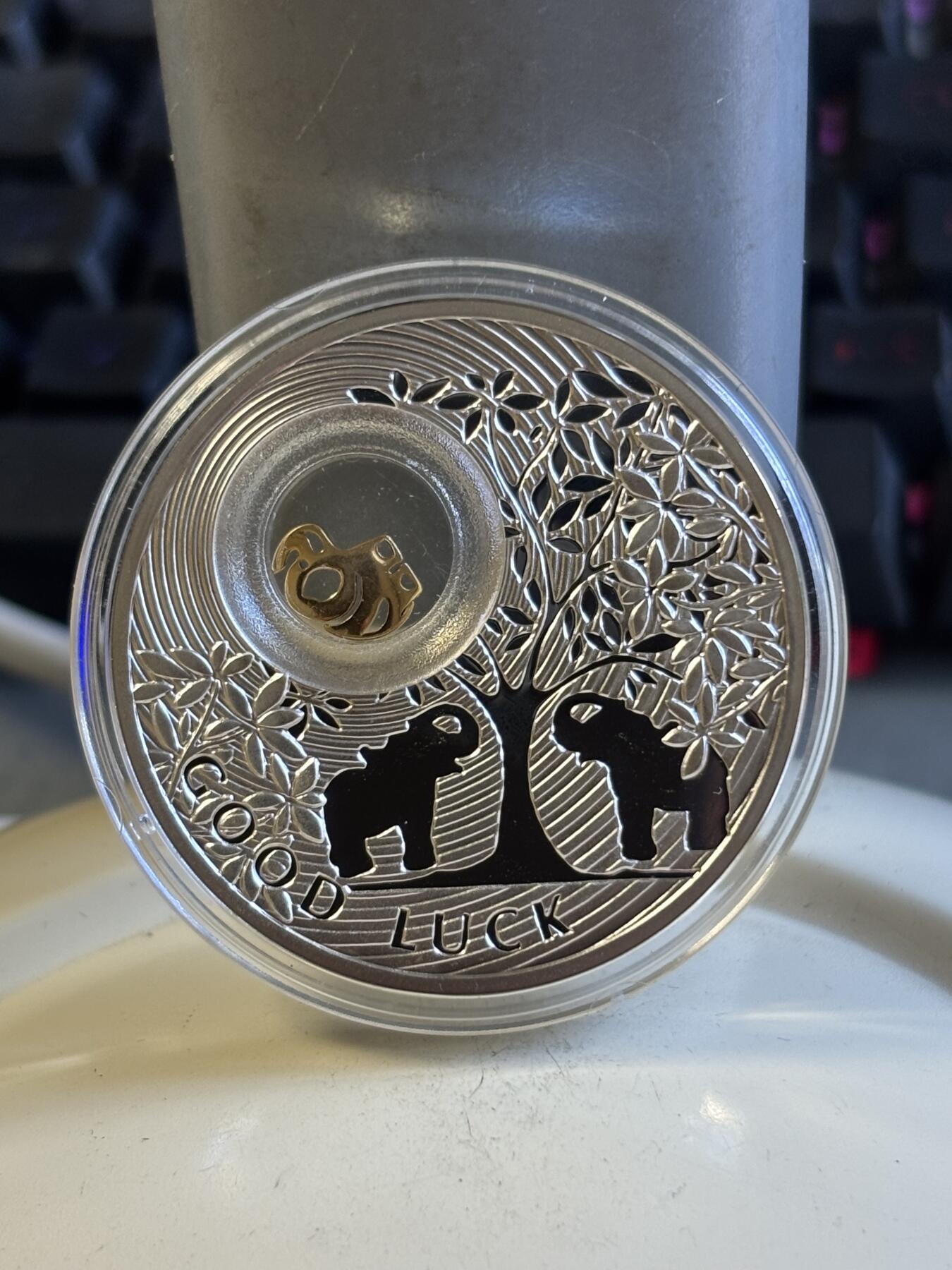 第197期拍卖 库克2009年马泰伊科名画韦尔内霍拉镶嵌天然珍珠银币，925银镶嵌珍珠，25克，30*38毫米，塑料盒有裂痕