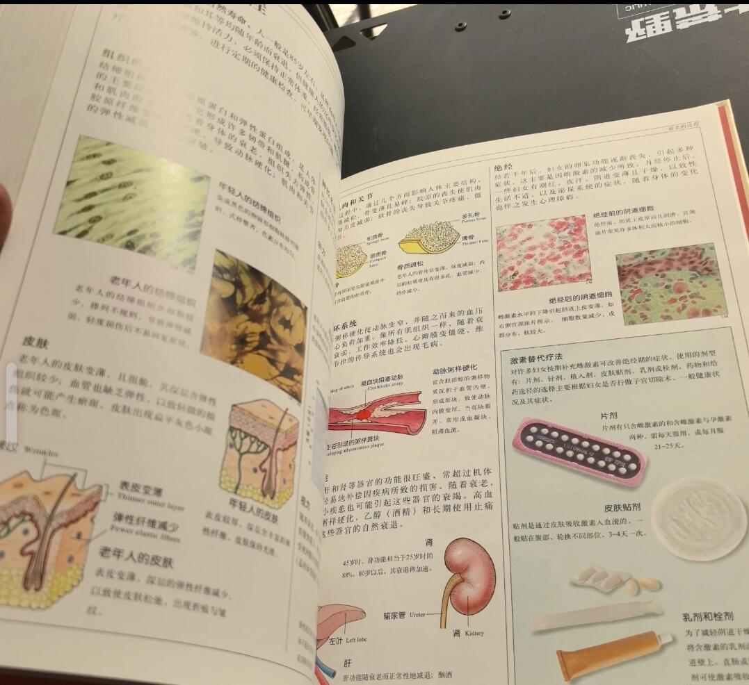 包邮人体：人体结构、功能与疾病图解 签名本 品相好