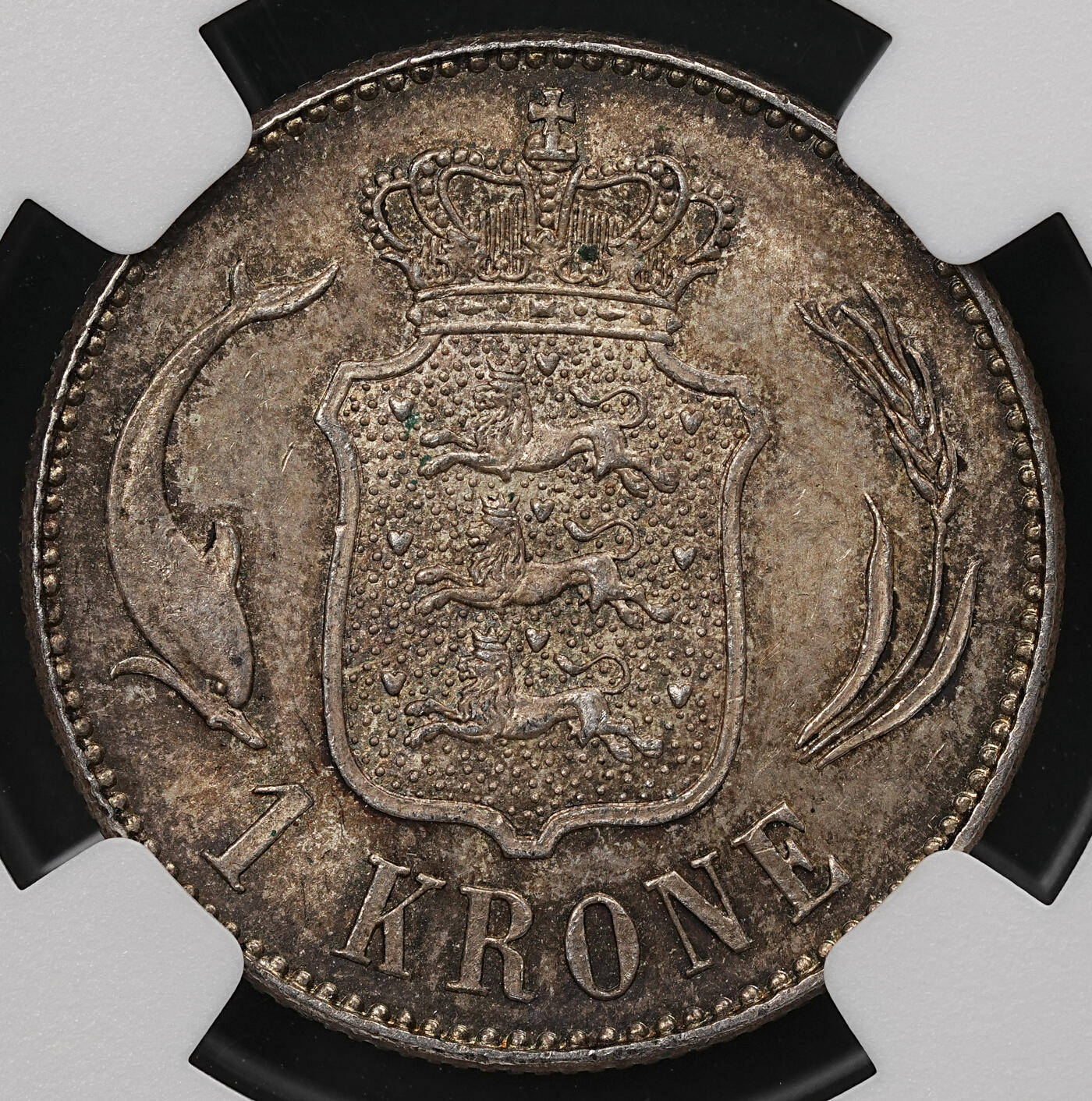 修遠堂世界钱币第111期