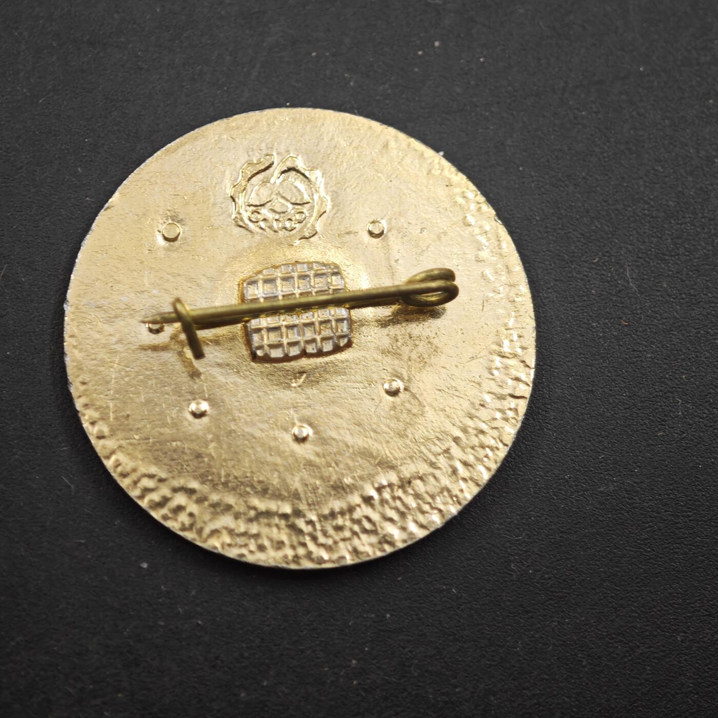 4月11日结束，成斌徽章钱币专场 全苏石油天然气地质生产协会证章