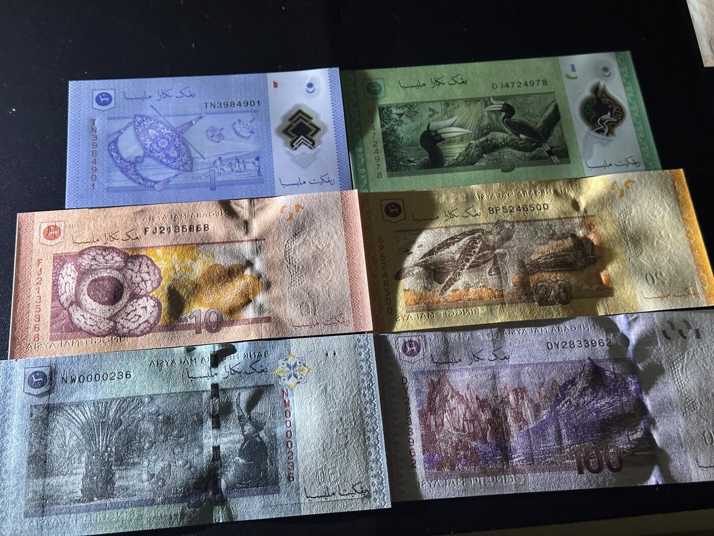 《外钞收藏家》第六百二十六期（精品场）（长期征集拍品、欢迎藏友们联系合作） 马来西亚新版6张一套（1/5/10/20/50/100林吉特，有多张全程无47）	UNC