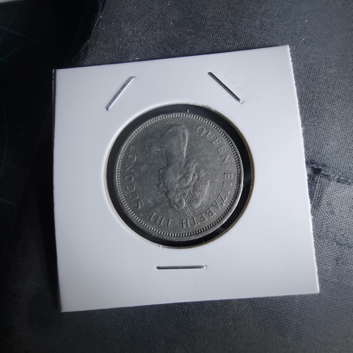 沼泽如烟--第1048场