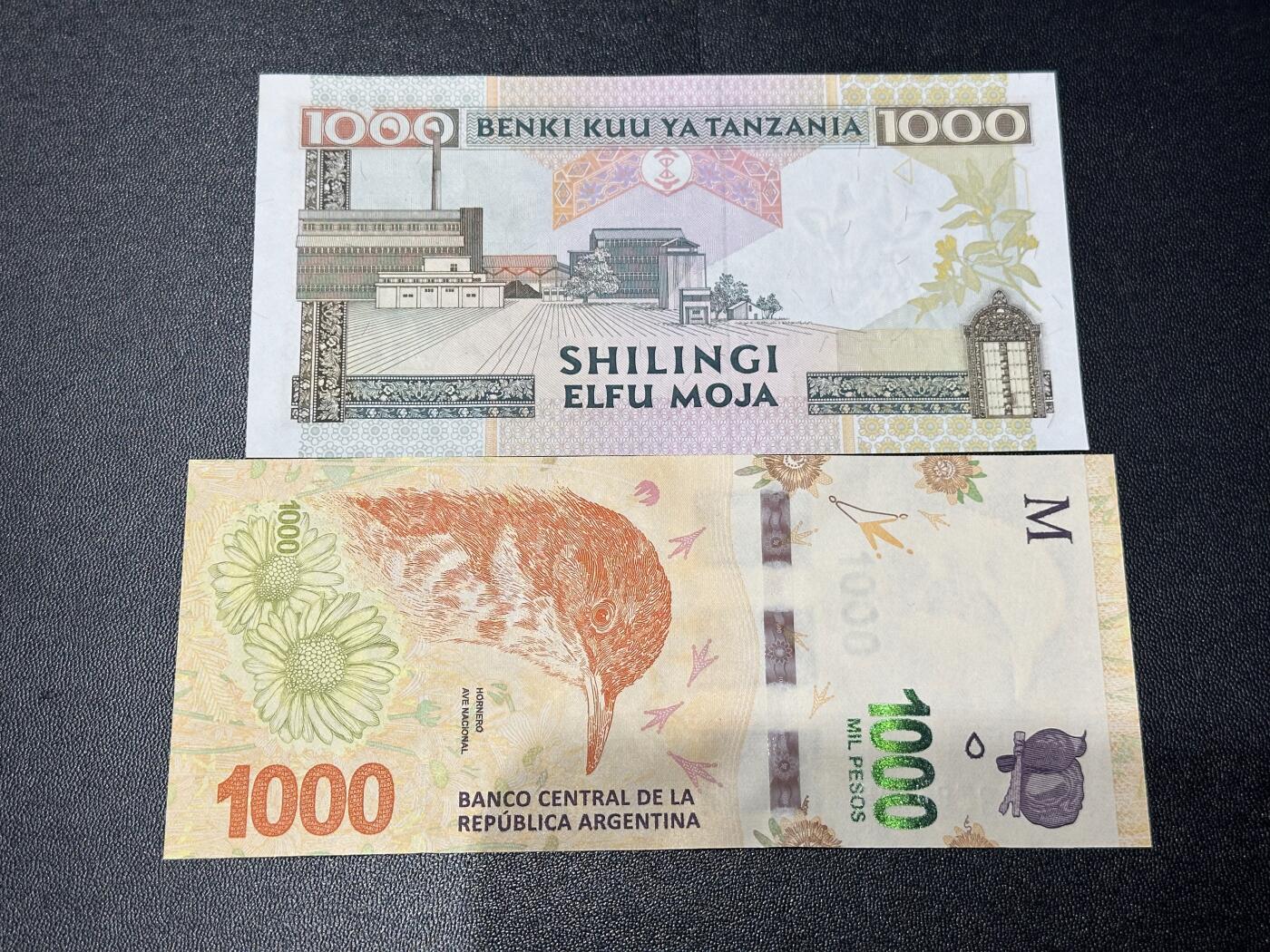 《外钞收藏家》第六百二十六期（精品场）（长期征集拍品、欢迎藏友们联系合作） 坦桑尼亚1000先令+阿根廷1000 2张一起 全新UNC