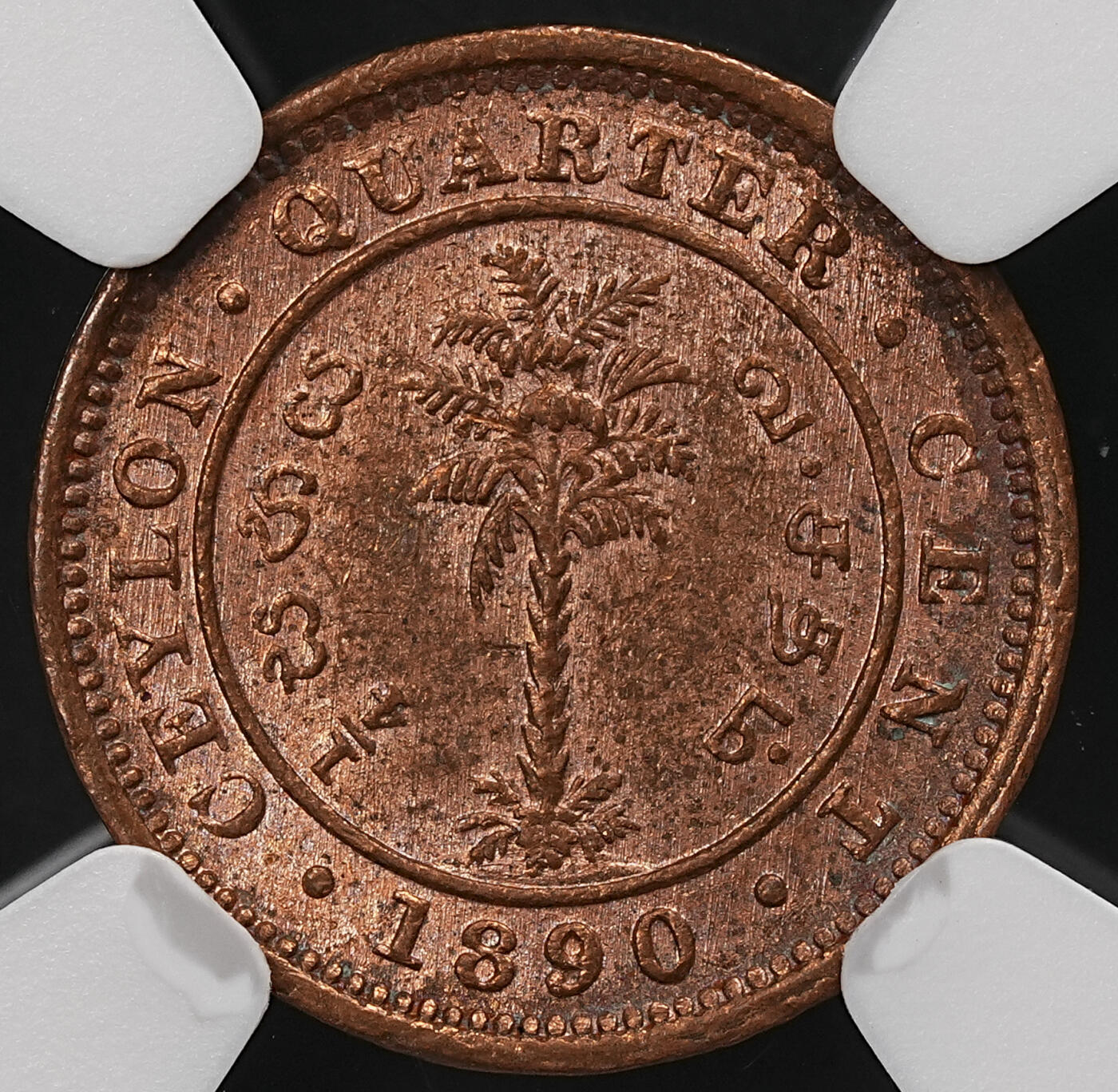 修遠堂世界钱币第111期