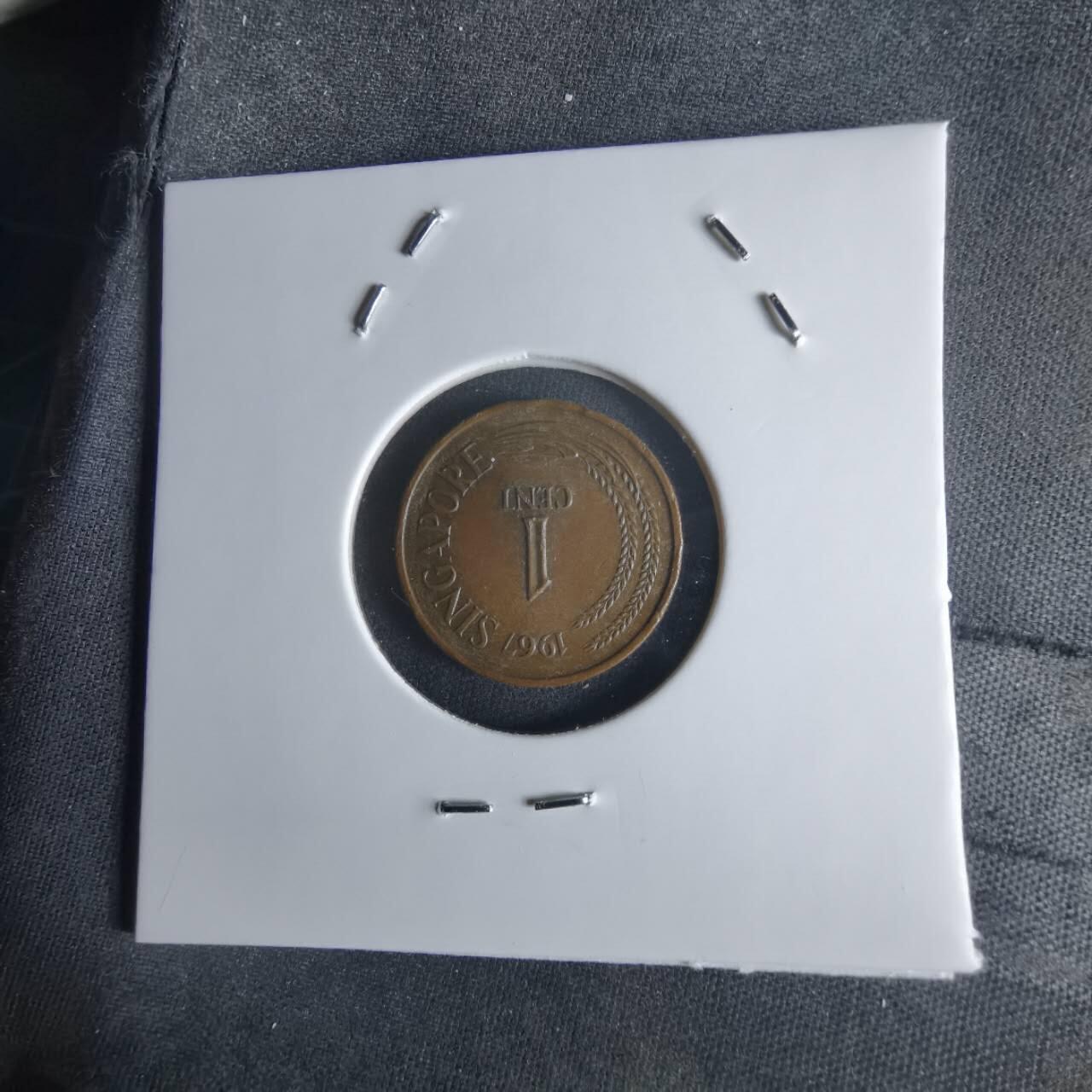 沼泽如烟--第1048场