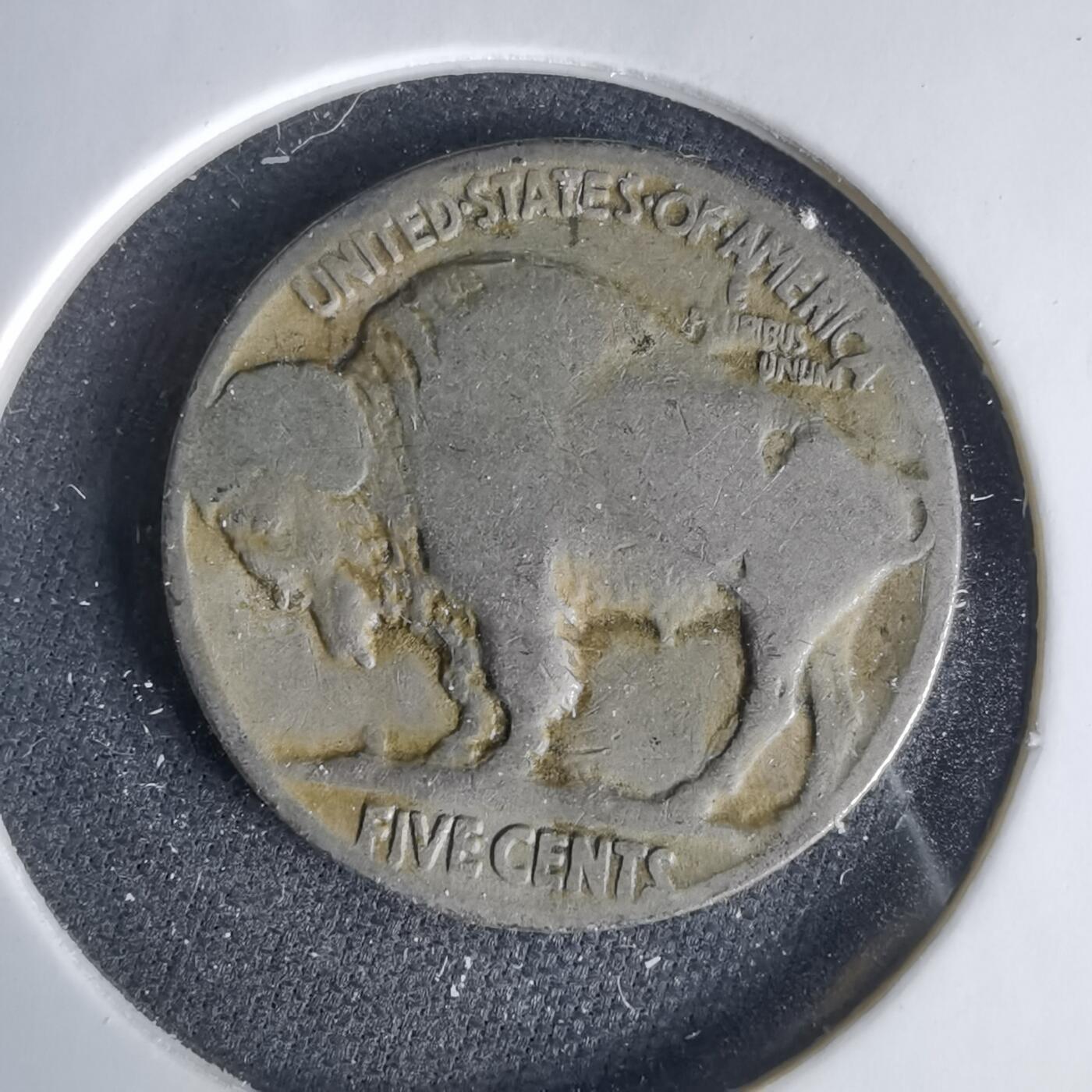 沼泽如烟--第1049场 美国野牛五分