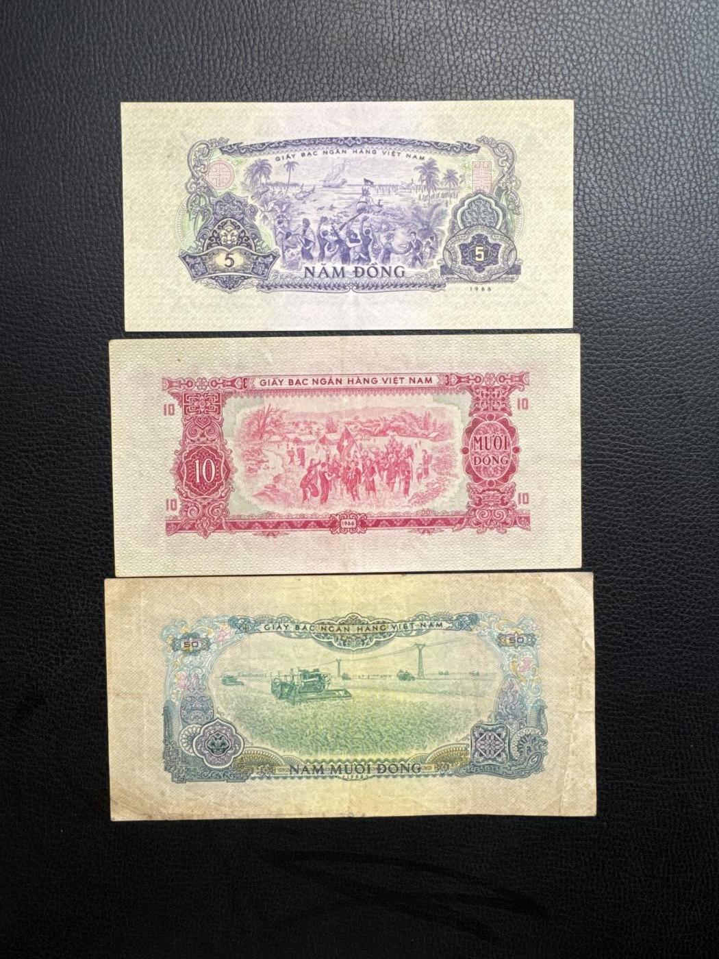 桂P钱币文化工作室拍卖第四十九期 中国代印越南民主共和国1966年版纸币一套，全套难得，热门援外系列纸币，50盾少见