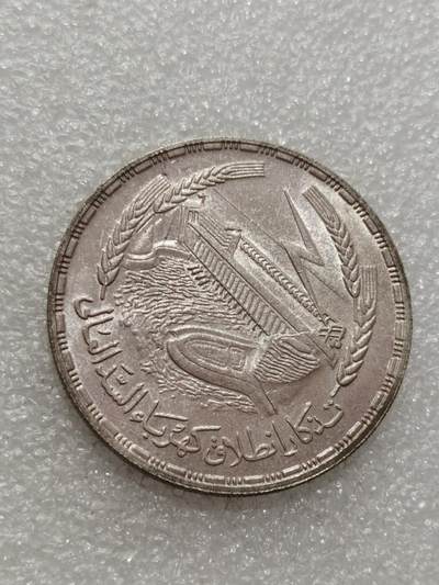 天下钱庄专场欢迎参拍 - 埃及1磅银币
