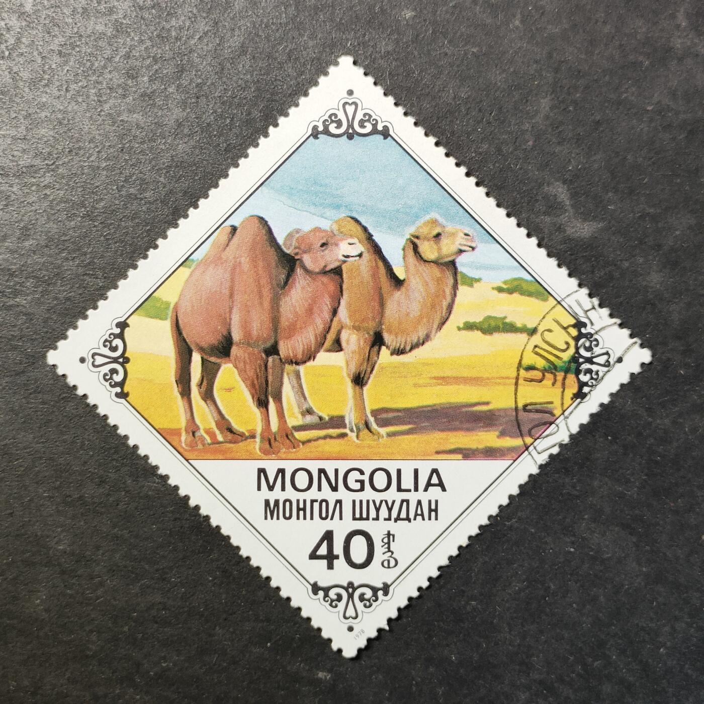 嘉禾收藏    【第514期】            无佣金、可寄存、满30元包邮 邮票一枚