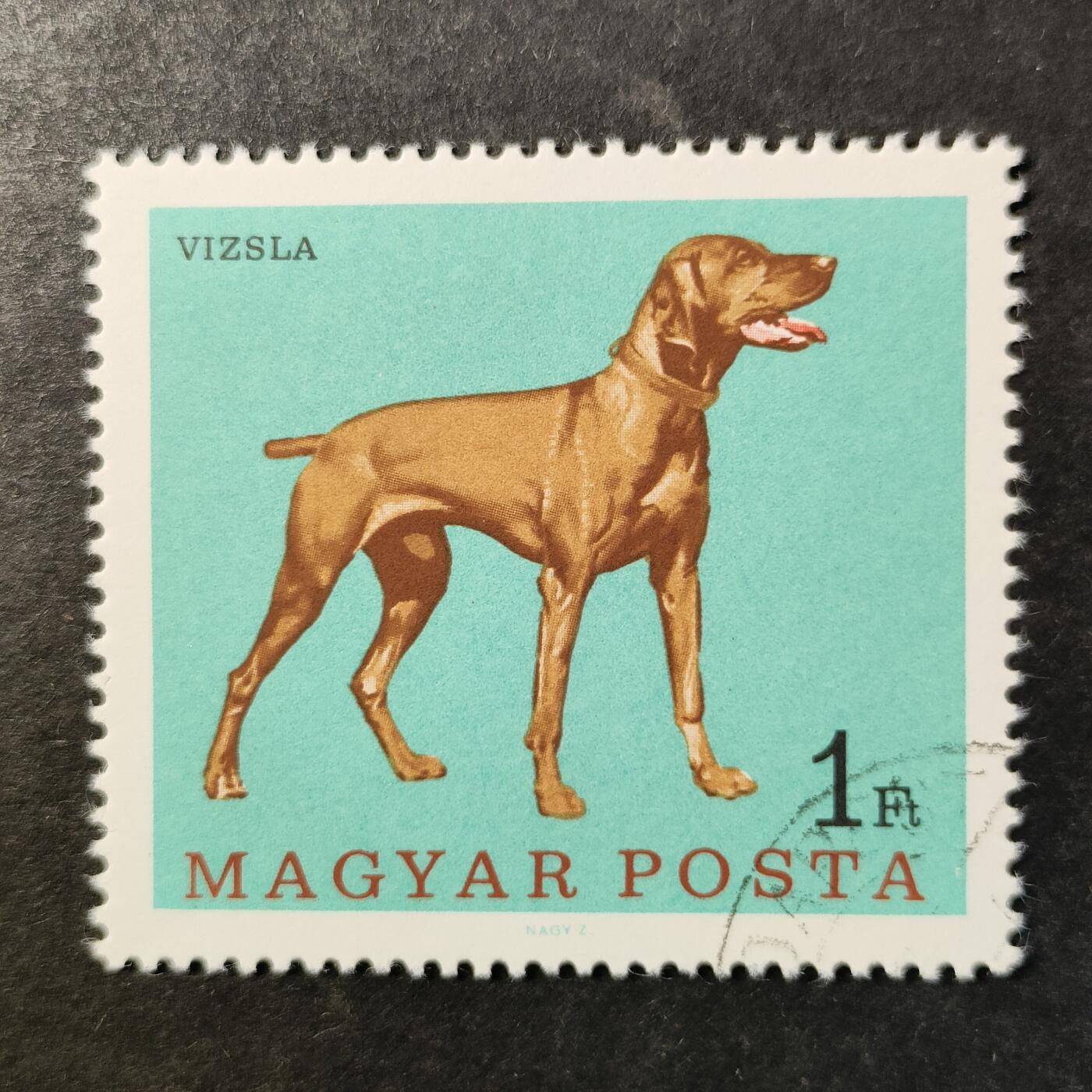 嘉禾收藏    【第514期】            无佣金、可寄存、满30元包邮 邮票一枚