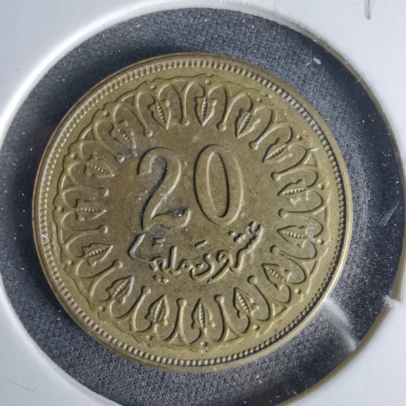 沼泽如烟--第1049场