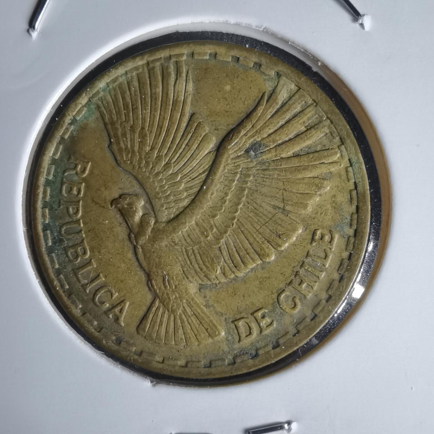 沼泽如烟--第1050场