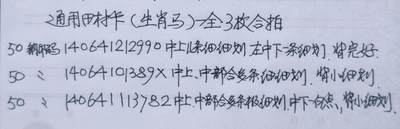 公藏第63期裸卡拍卖 通用田村新卡（CNT- 64  生肖马）一全3套合拍，品相钢印码见描述。