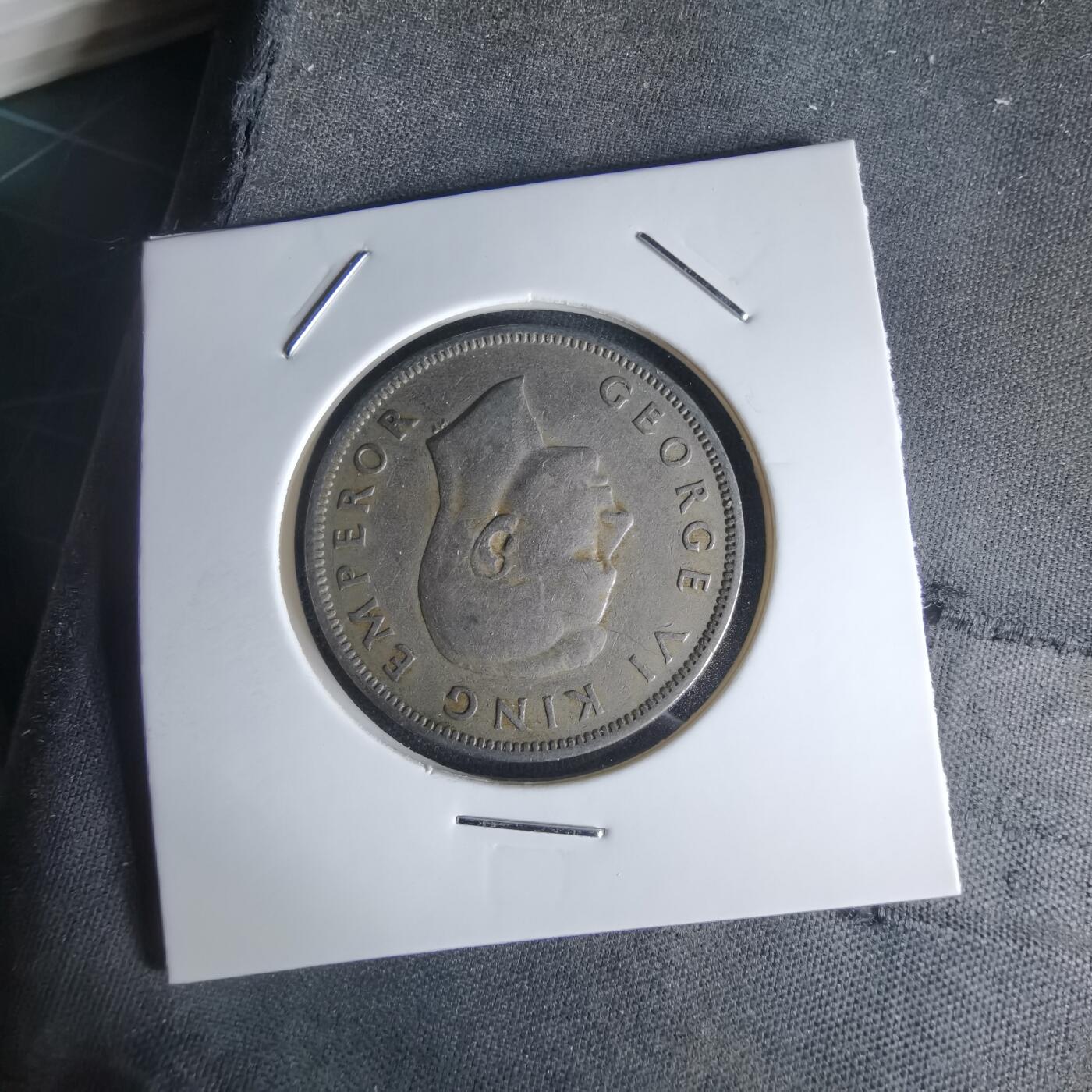 沼泽如烟--第1050场