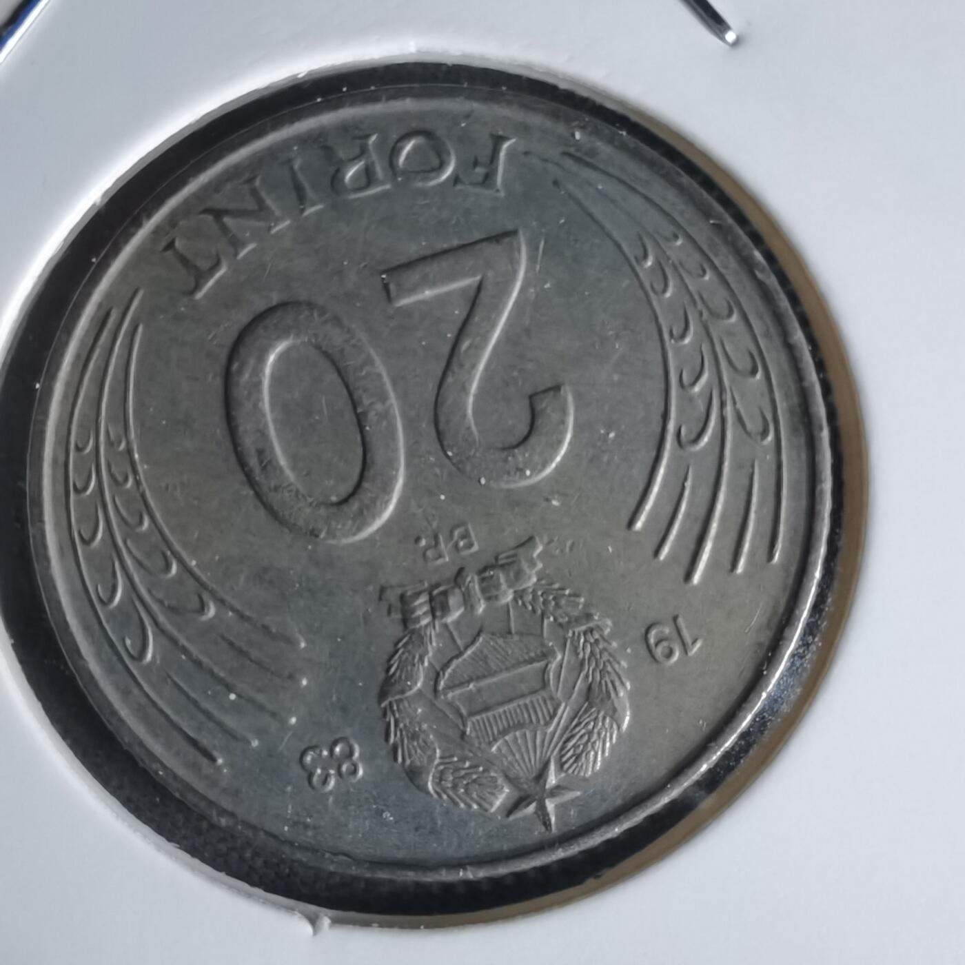 沼泽如烟--第1050场